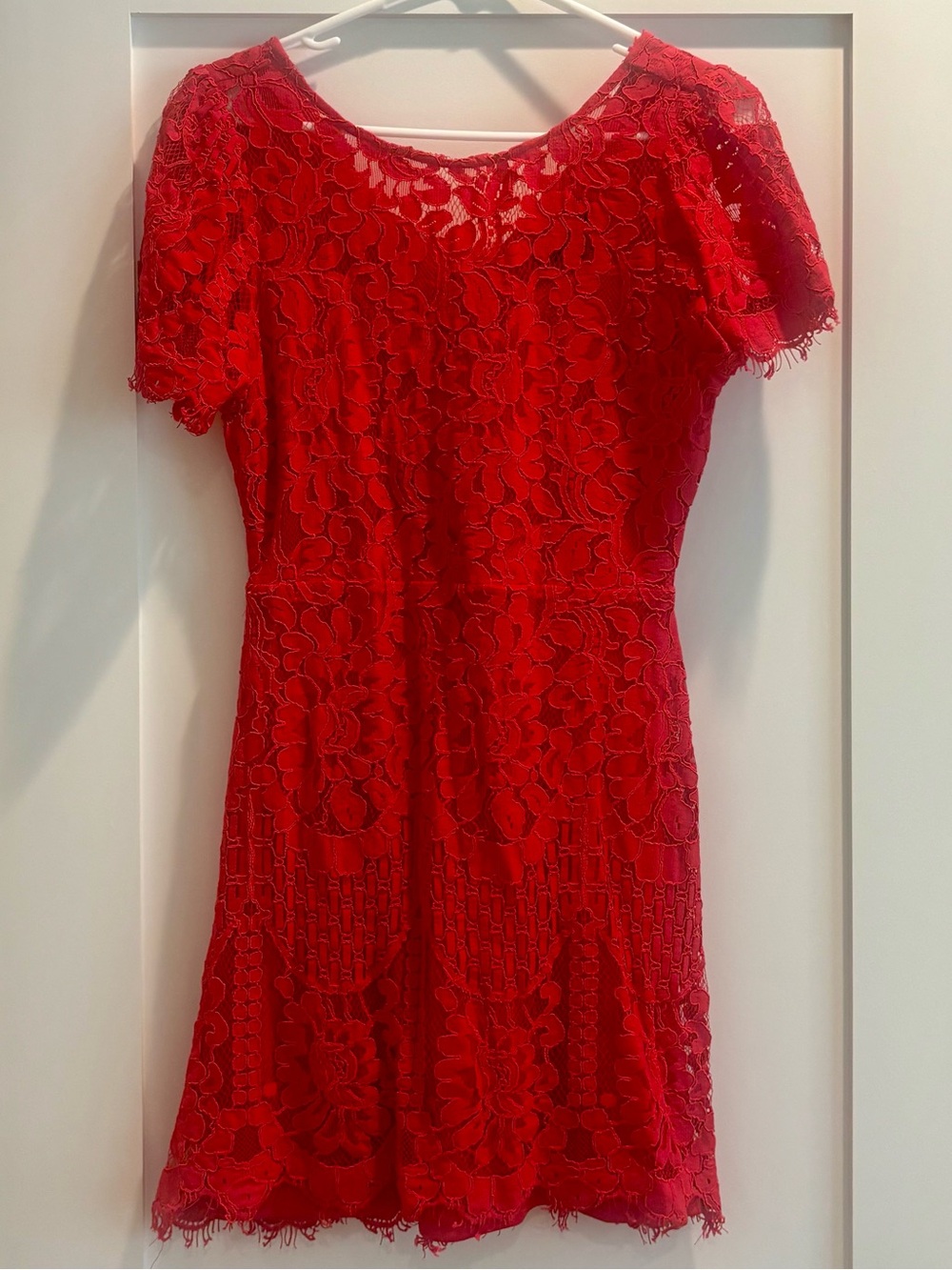 Lulu's Red Lace Mini Dress with Floral Overlay